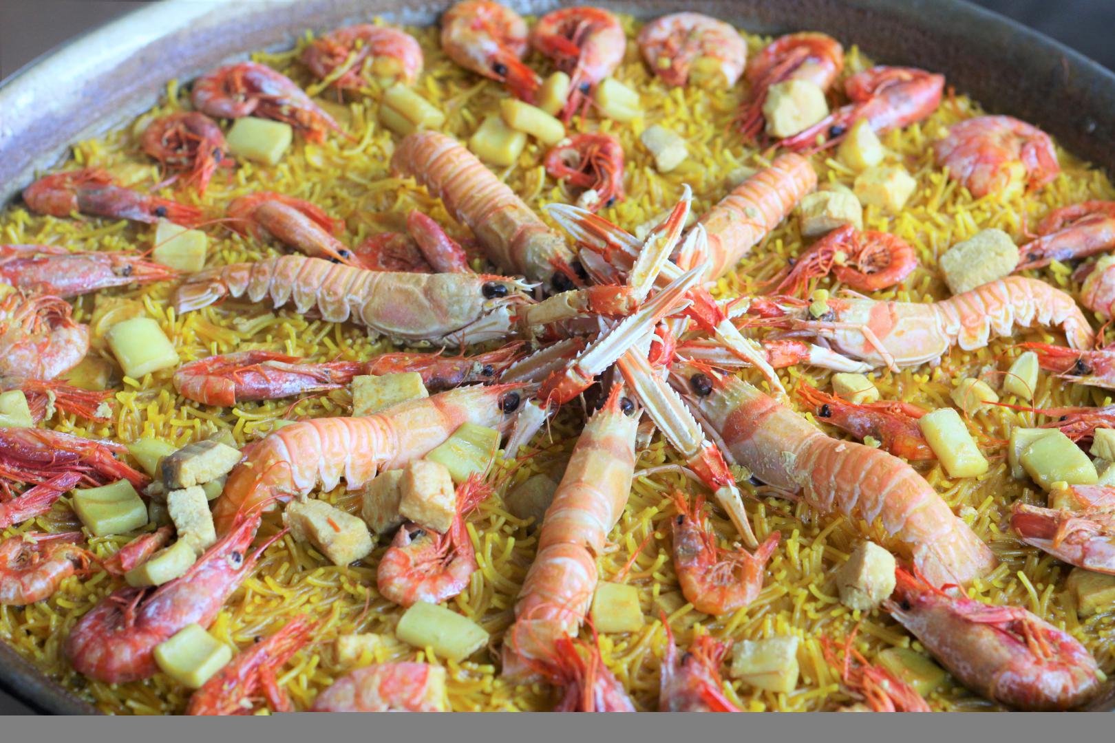 Plato Candela